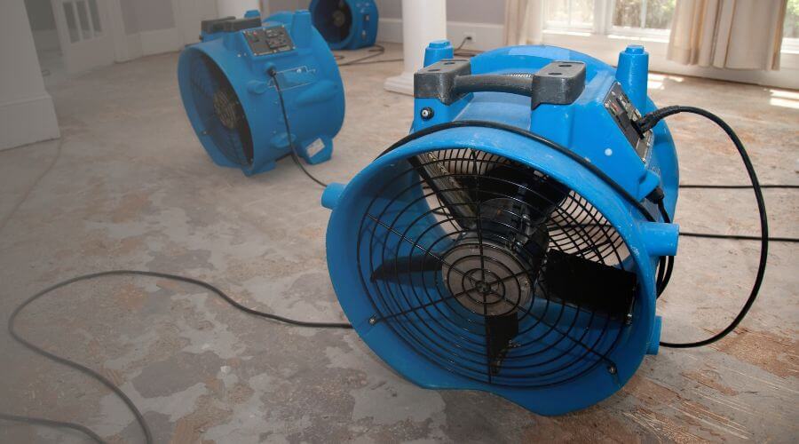 Why choose Kirkland Crawl Space Mold Remediation for basement water damage restoration in Kirkland